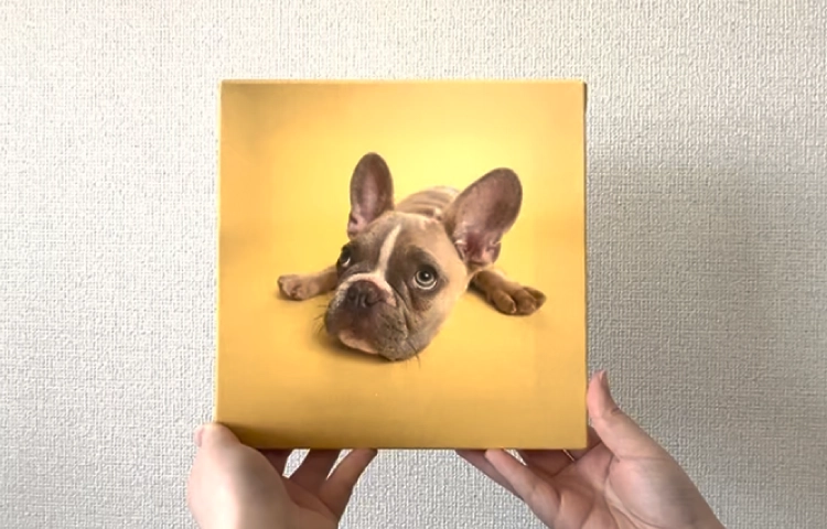 �����ȥ����Х���ư�襵��ͥ���