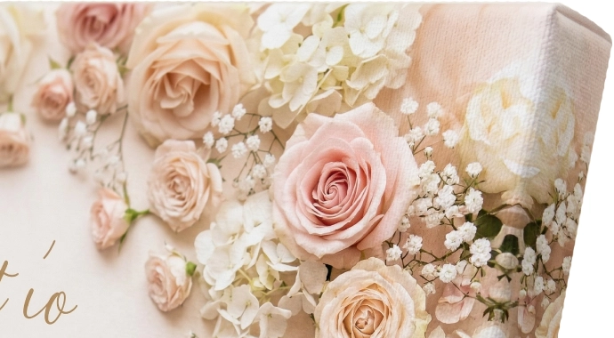 �۱�Ϥ⤦���ס�¦�̤ޤ�����³���ְ���Ū�ʹ�鴶��