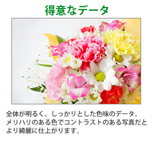 全体が明るくしっかりした色味のお写真データですと、キャンバスがより綺麗にプリントできます。