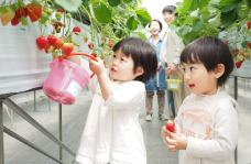コロナの影響で、家族との時間が増え、写真がたくさんあると思います。素敵な写真を1枚の写真にしませんか?