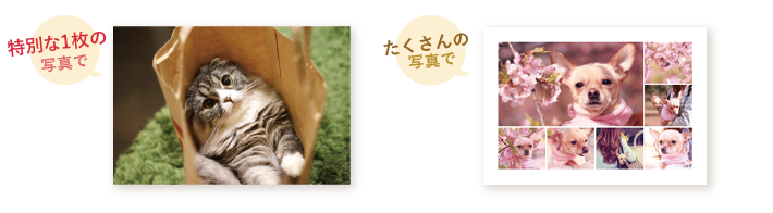 母の日にペットの写真でポスター・キャンバスプリント