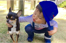 ペットと子供を撮影した写真でポスター印刷キャンバスプリント