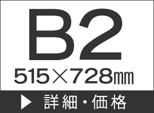 B２(515×728mm)