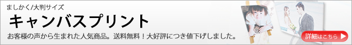 キャンバス生地にイラストや写真を印刷できるサービスです。
