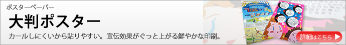大きいのに安い!A0,B0サイズ対応可能セミ光沢の大判ポスター