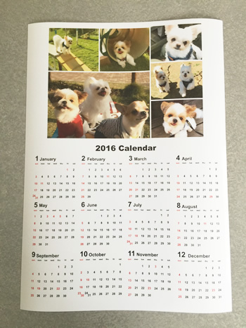ペットの写真でカレンダー