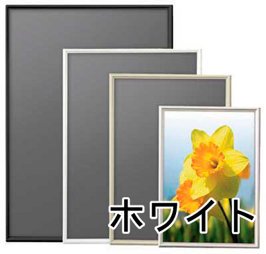 �ե졼��ù� �������� B2 �ۥ磻�� ���ݥ���������� 